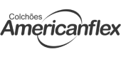 American Flex Logo American Flex